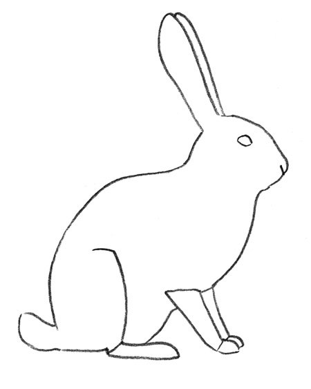 Заяц вид сбоку