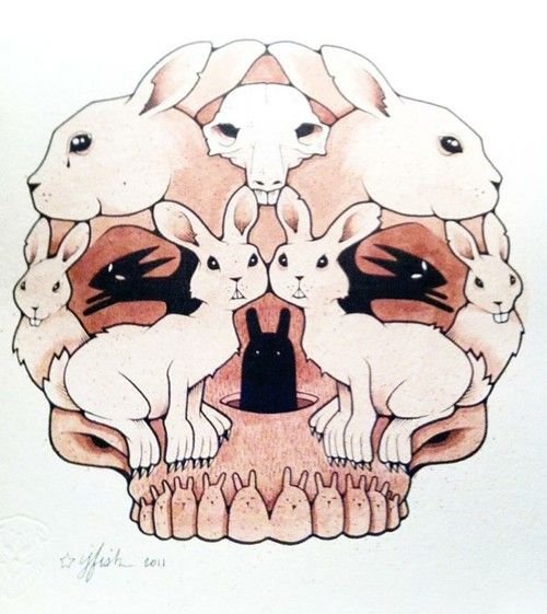 Референсы череп кролика