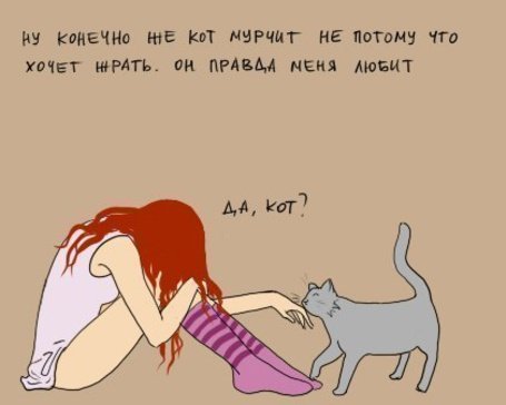 Человеку нужен кот