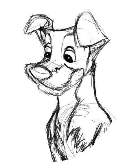 Леди и Бродяга раскраска мультики