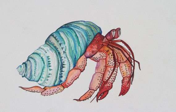 Скетчи морские обитатели краб