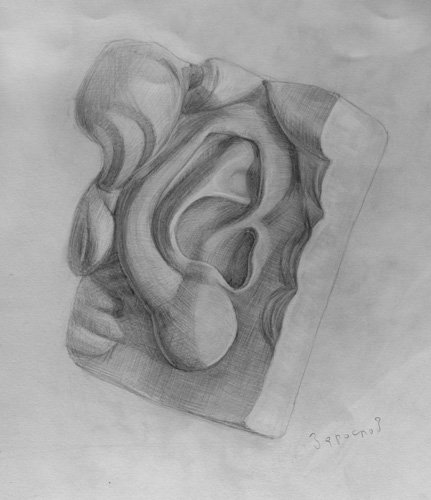 Ухо гипс Давида Экорше