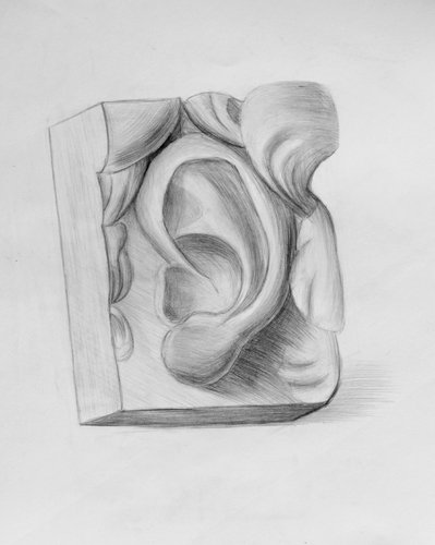 Построение уха Давида