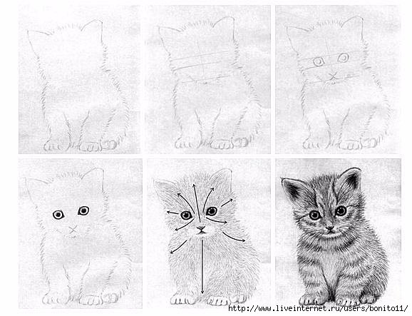 Маленький беззащитный котенок рисунок