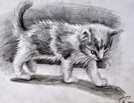 Котенок углем