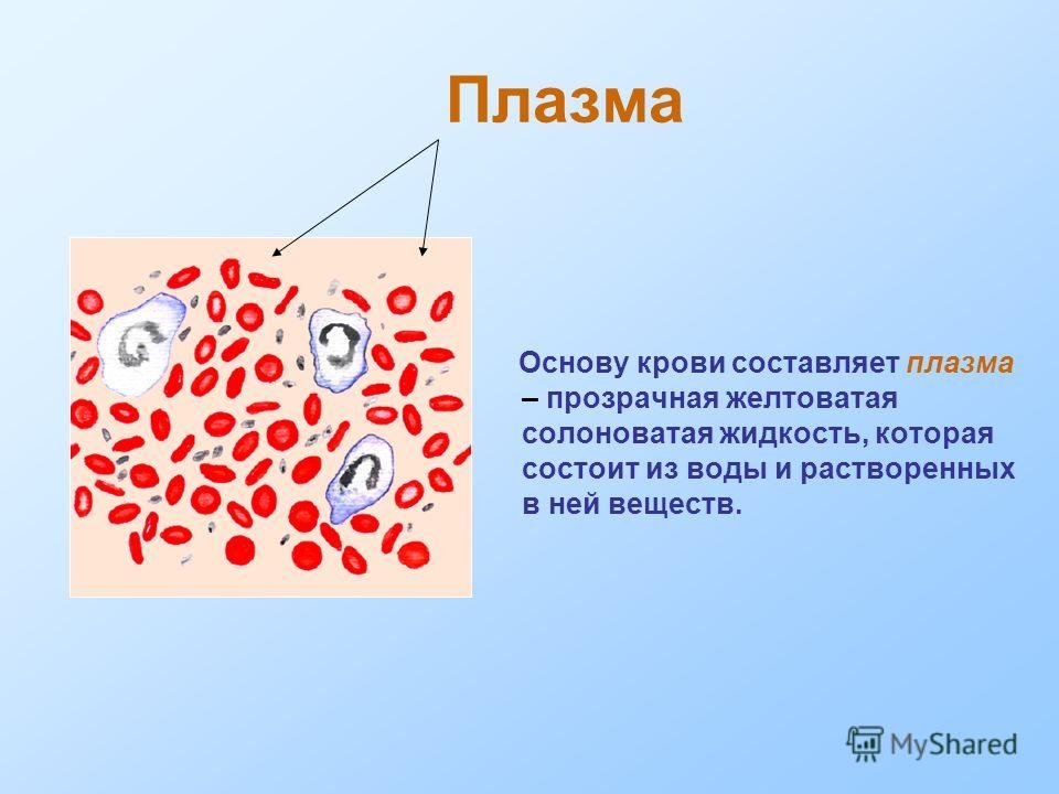 Номером на рисунке обозначена плазма крови. Плазма крови. Плазма крови рисунок. Плазма крови презентация. Плазма крови состоит из.
