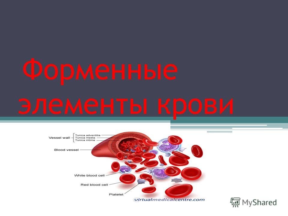 Тест элемента крови. Форменные элементы крови. Презентация по крови. Презентация по теме кровь.