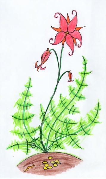 Детские рисунки папоротника