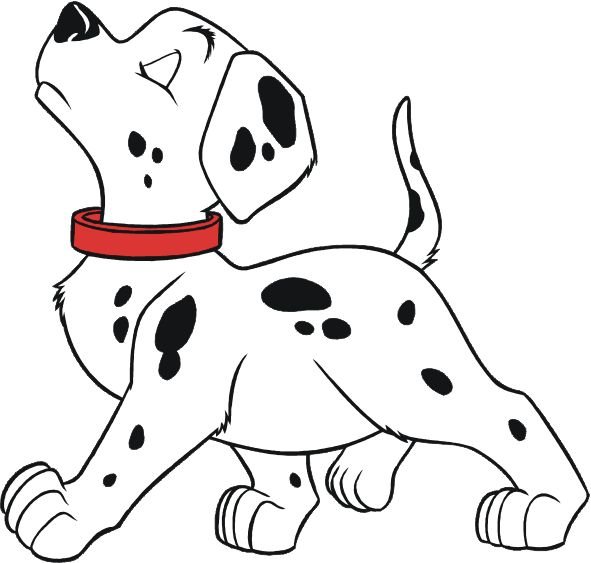 Далматинец сзади