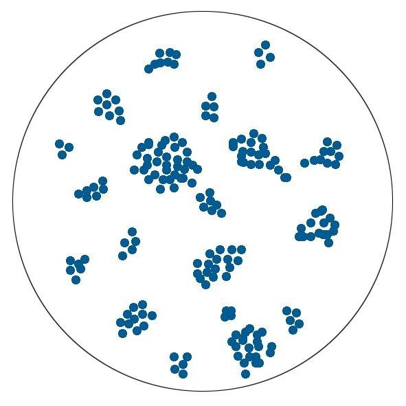 Стафилококк метиленовый синий