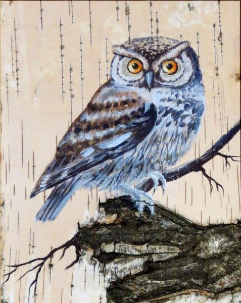 Рисунок Совы сплюшки