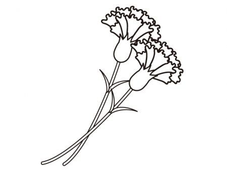 Гвоздики на окна