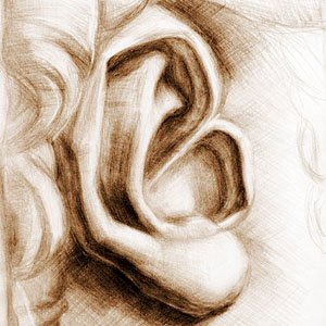 Академический рисунок уха Давида