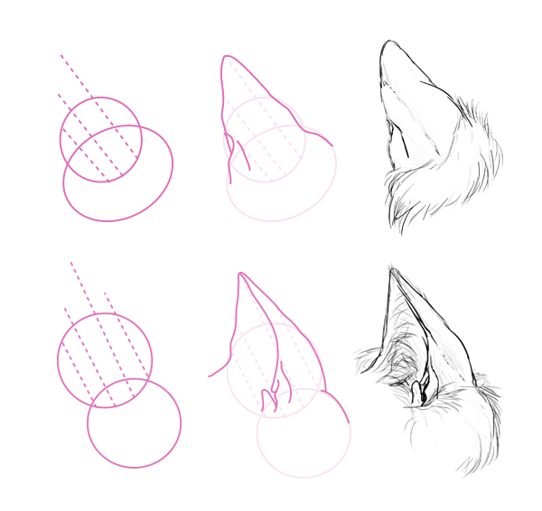 Уши волка референс