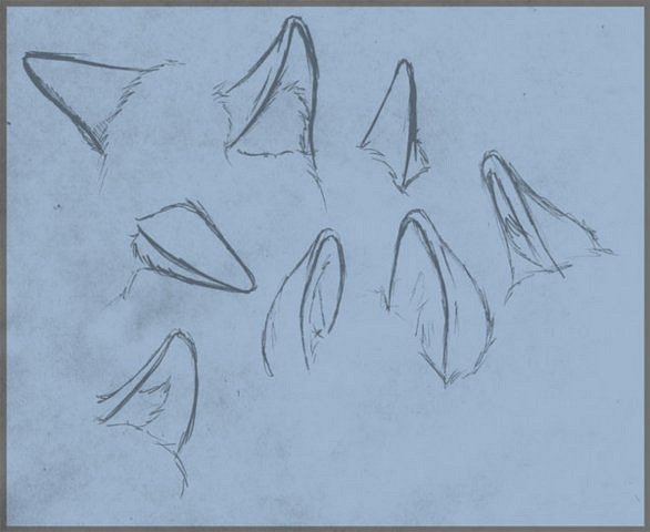 Уши лисы референс