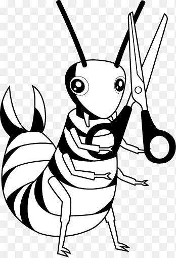 Уховертка рисунок