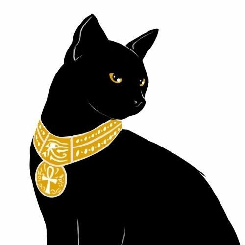 Египетский кот черный