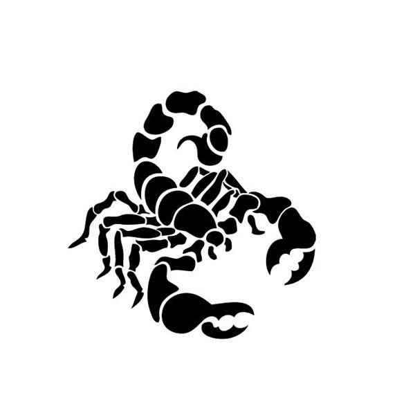 Тату Скорпион на белом фоне