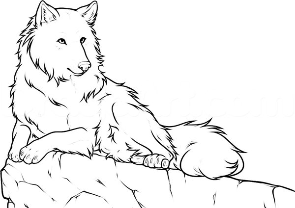 Рисунки для срисовки вол