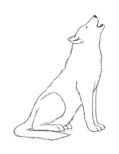 Набросок лисы