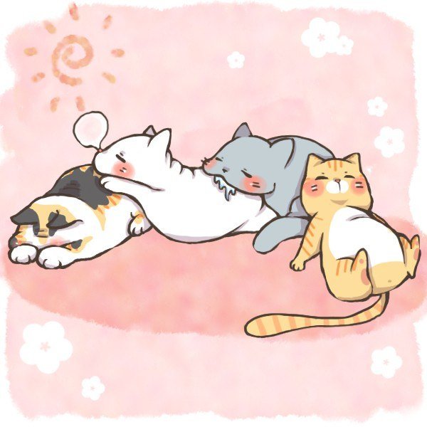 Мультяшные спящие котики