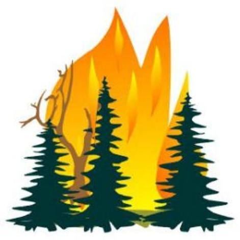 Горит лес для детей