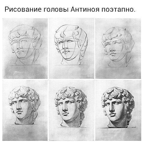 Голова Антиноя МАРХИ