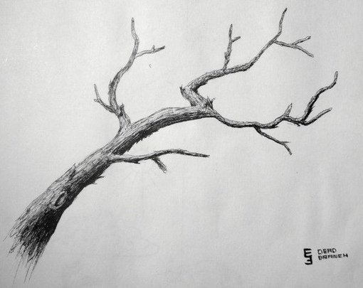 Ветка карандашом