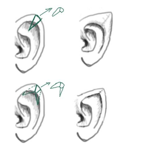 Эльфийские уши рисунок (49 фото)