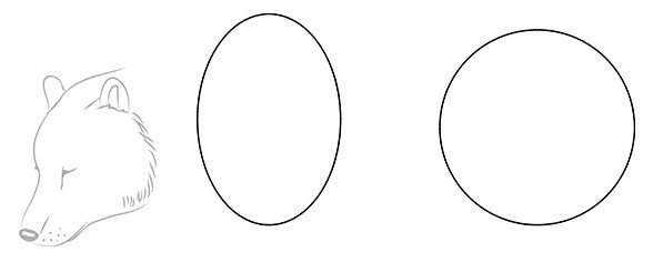 Глаза медведя рисунок для детей