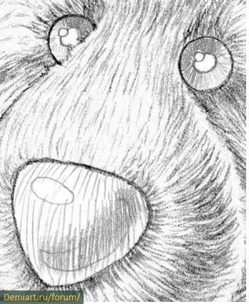 Зрачки медведя рисунок