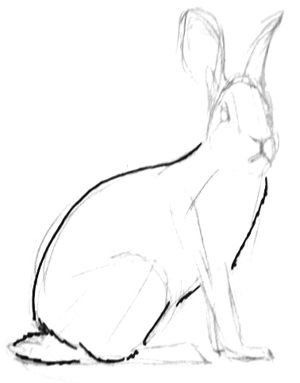 Рисование зайца сидячего