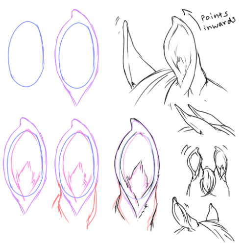 Туториал по рисованию ушей лошади