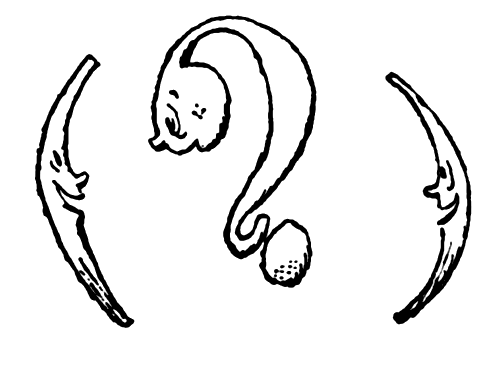 Знаки препинания раскраска для детей