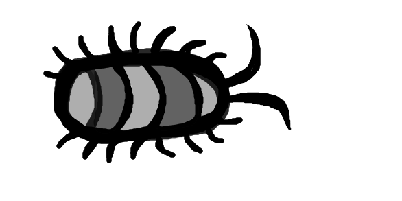 Мокрица раскраска