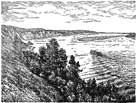 Рисунок камы (49 фото)