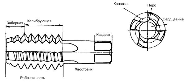 Метчик чертеж компас