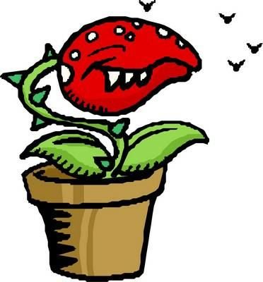 Венерина мухоловка