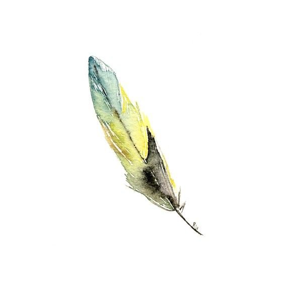 Перо лазоревки