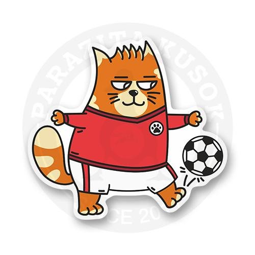 Спортивные Стикеры с котиками