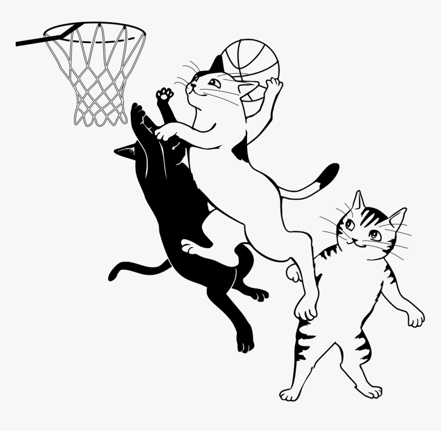 Нарисуй кота игра. Спортивные коты. Котик с мячом раскраска. Раскраска кот с мячиком. Кошка с мячиком раскраска для малышей.
