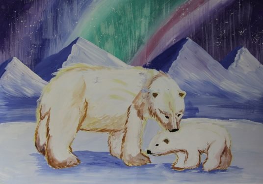 Животные Арктики раскраски для детей