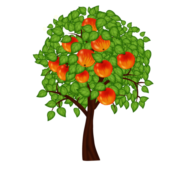 Яблоня для детей