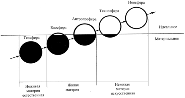 Биосфера Ноосфера Техносфера