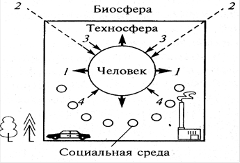 Взаимодействие человека и биосферы схема