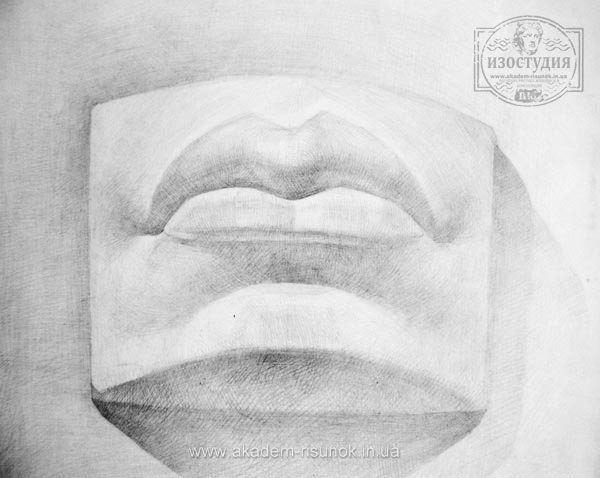 Губы Давида гипс вид сбоку