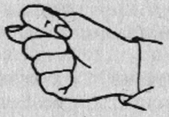 Рисунок кукиша фиги