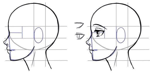 Рисование лица сбоку