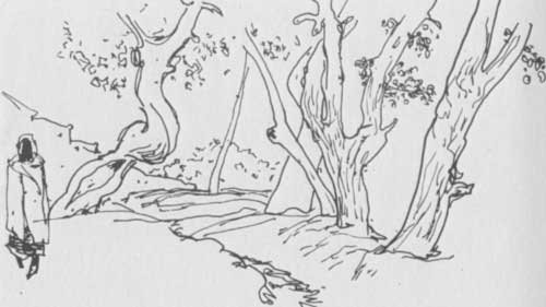 Рисунок мёртвое поле