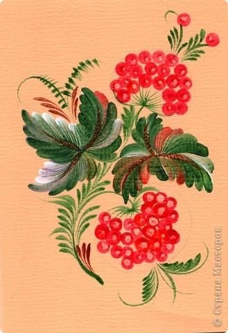 Калина Графика